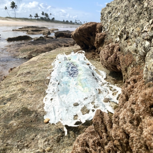 Le grand rivage Dominique Rousseau