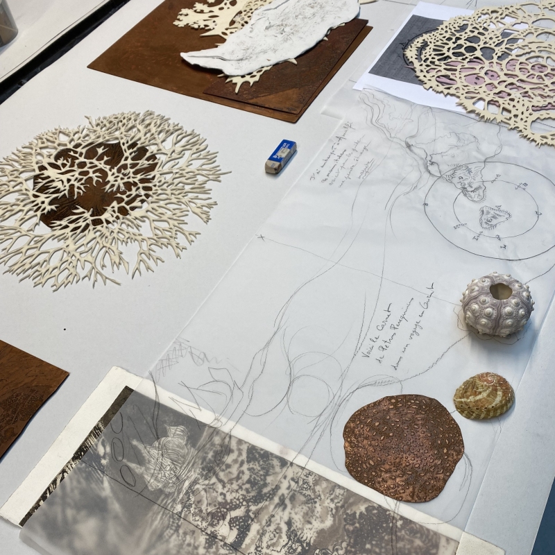 de Petrus , Dominique Rousseau - Contact