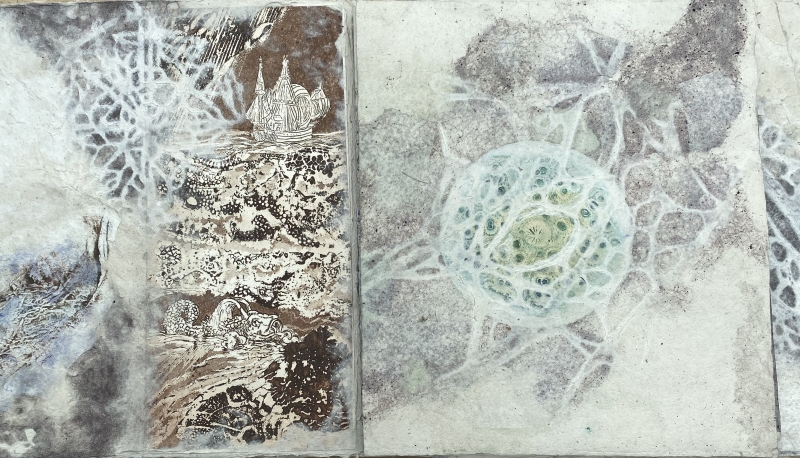 à Amalfi, Dominique Rousseau - Contact