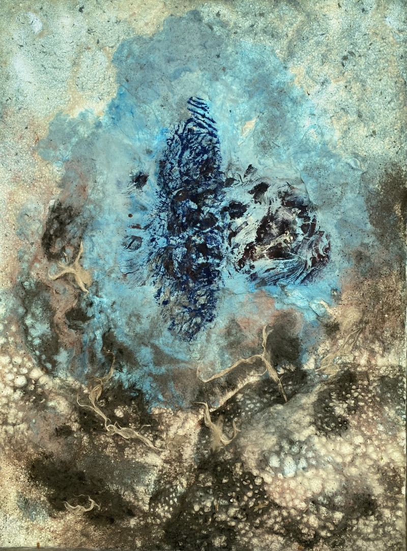 Songe insulaire, Dominique Rousseau - Contact