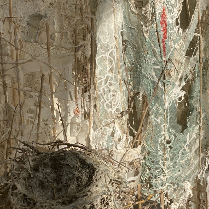 Habiter, Dominique Rousseau - Contact