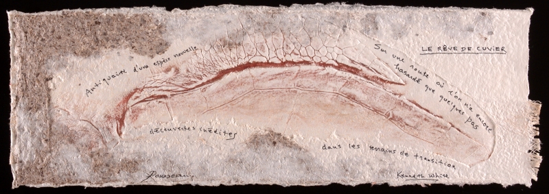  Le rêve de Cuvier - 2006 – exemplaire unique – 24 x 62 cm, Dominique Rousseau - Contact