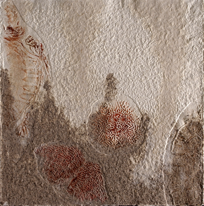 Vieux continent rouge - 60x60 cm, Dominique Rousseau - Contact