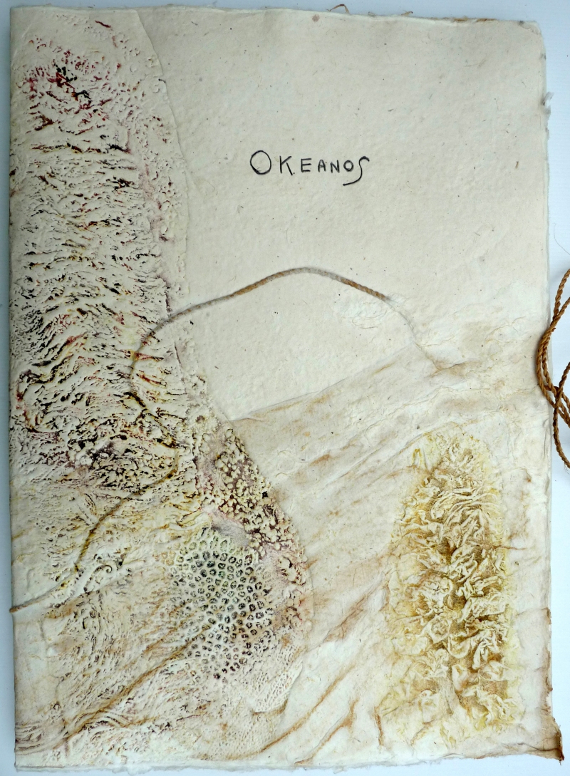 Okeanos - couverture, Dominique Rousseau - Contact