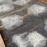 lors, Dominique Rousseau - Le carnet de Petrus Peregrinus