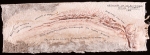 Archives du paléontologue Émile Flaubert - 2006 – exemplaire unique – 24 x 62 cm, Dominique Rousseau - Papiers manuscrits