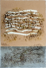 Cortex â€“ 100 x 60 cm , Dominique Rousseau - FragmenTerre
