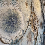 alliance, Dominique Rousseau - 2025 - Le grand rivage