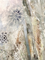 de l'écume, Dominique Rousseau - 2025 - Comme de l'écume