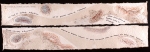  Les carnets du lieutenant Salvador Machado - 2006 – exemplaire unique – 2 feuilles 20 x130 cm , Dominique Rousseau - Papiers manuscrits