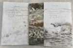 selva_2, Dominique Rousseau - 2020 - Selva