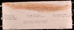  Fragments d’un journal de la Mer Rouge - 2006 – exemplaire unique – 24 x 62 cm, Dominique Rousseau - Papiers manuscrits