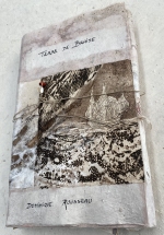 tdb_couv_1, Dominique Rousseau - Terre de braise
