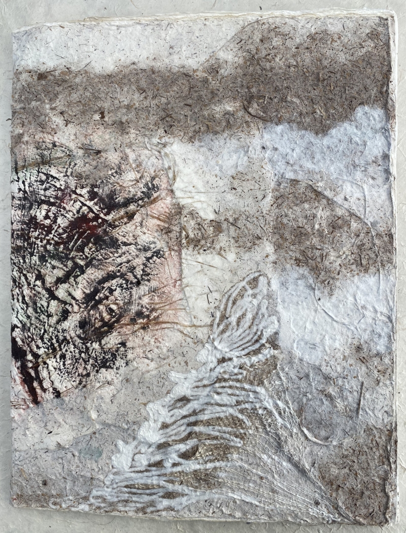 selva_1, Dominique Rousseau - Rubrique