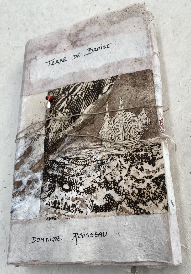 tdb_couv_1, Dominique Rousseau - Rubrique