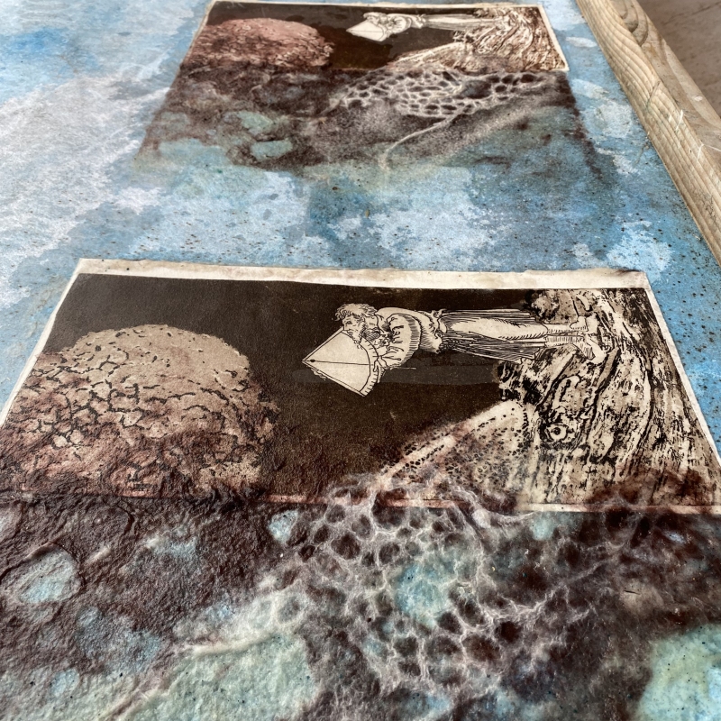 Peregrinus, Dominique Rousseau - Contact