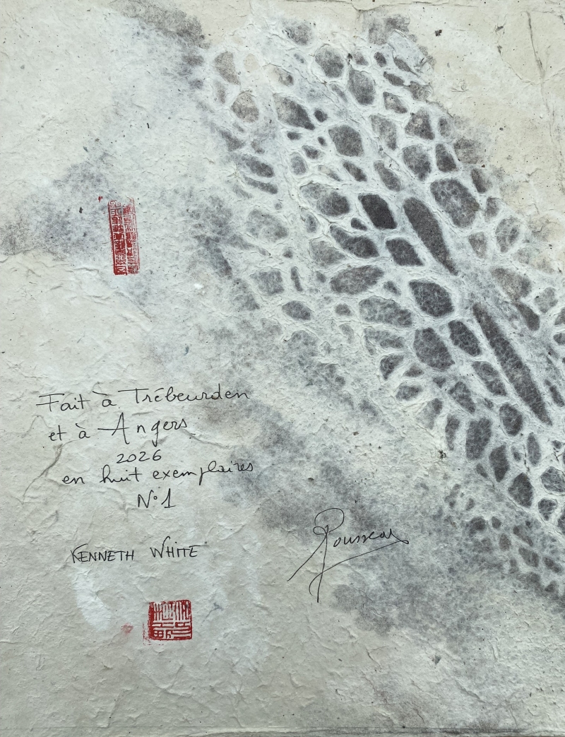 colophon, Dominique Rousseau - Contact