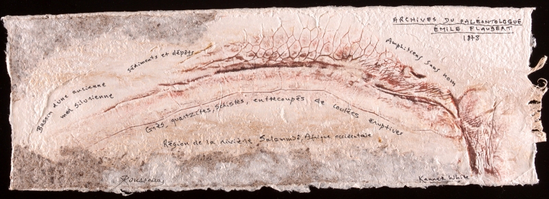 Archives du paléontologue Emile Flaubert 1878, Dominique Rousseau - Contact