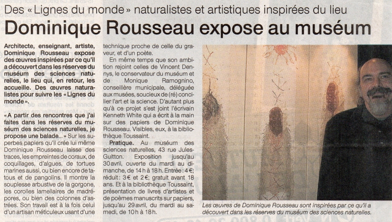 Presse , Dominique Rousseau - Contact