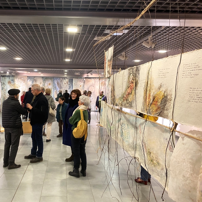 avec les Bouquineurs, Dominique Rousseau - Contact