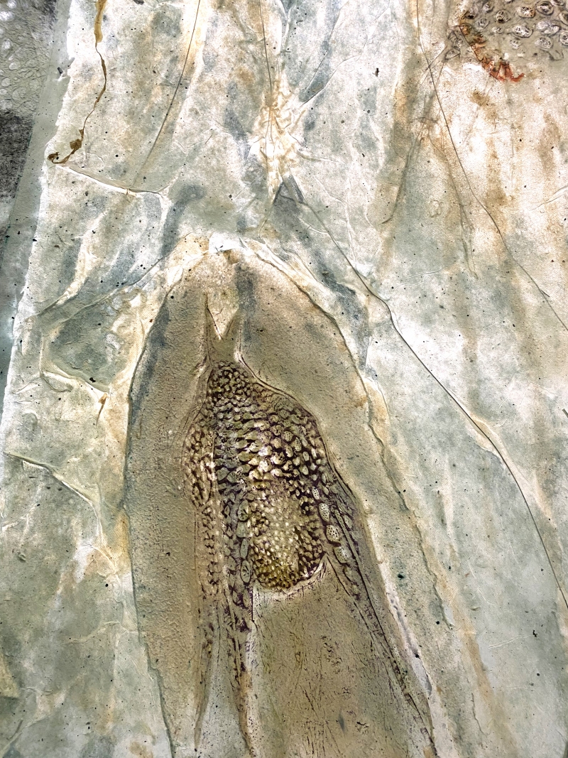 Planktos, Dominique Rousseau - Contact