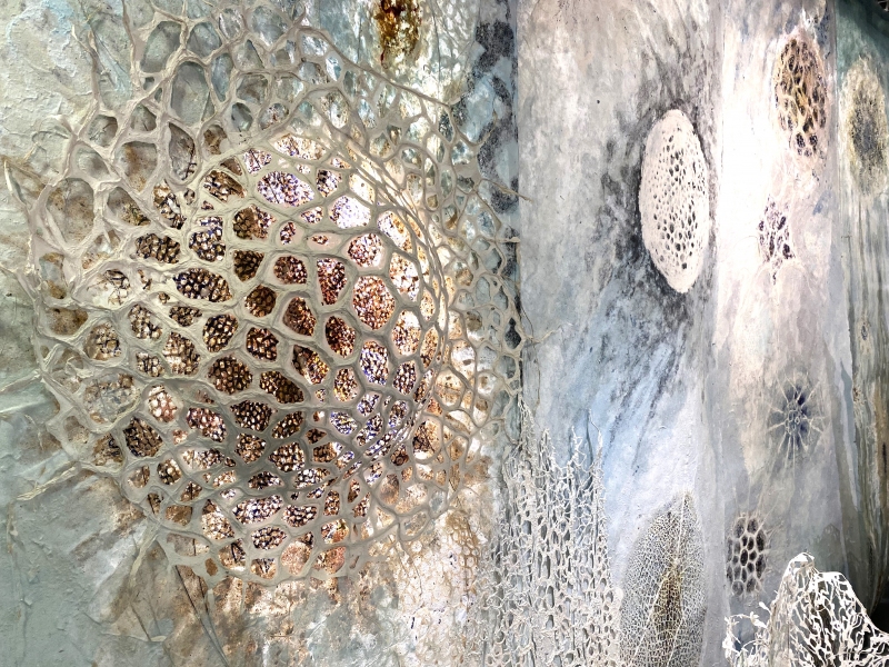 installation, Dominique Rousseau - Contact