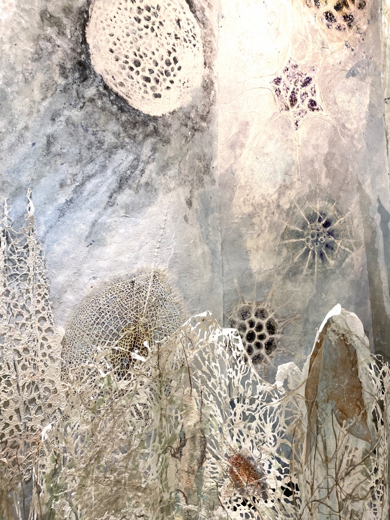 immersive, Dominique Rousseau - Contact