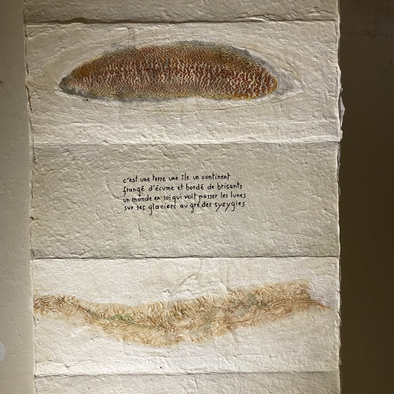 Terre de montagnes et de mer, Dominique Rousseau - Contact