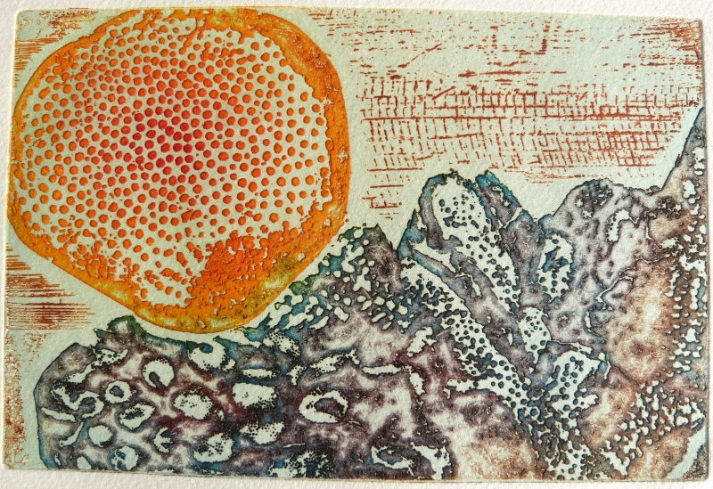 le rêve des polypes 3, Dominique Rousseau - Contact