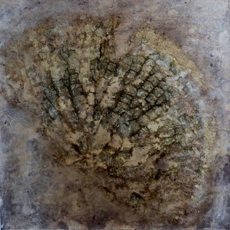 Les eaux dormantes 2 - 90 x 90 cm, Dominique Rousseau - Contact
