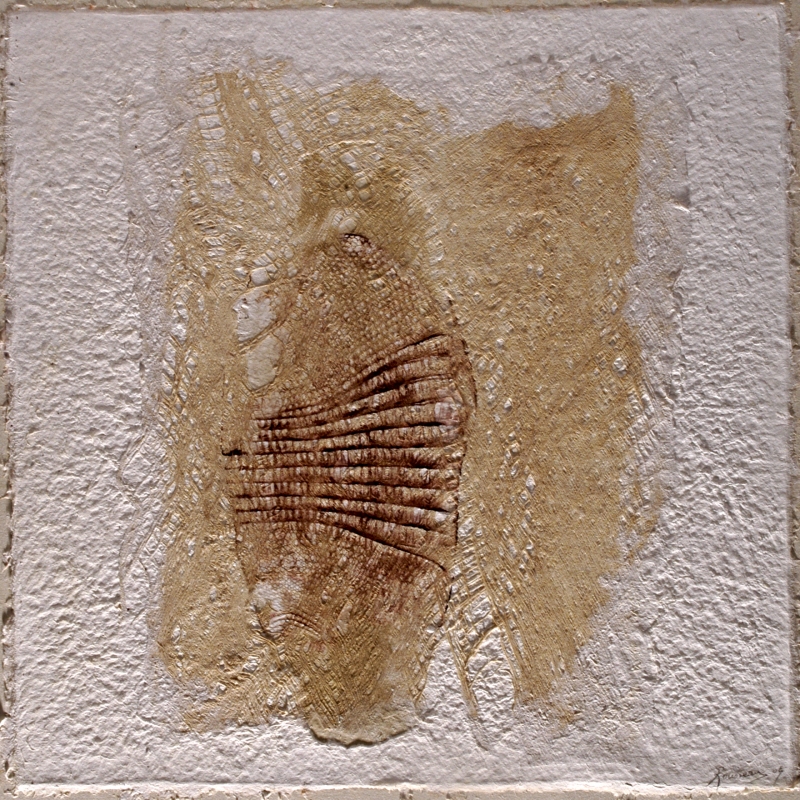 Paléogéographie - 60x60 cm, Dominique Rousseau - Contact