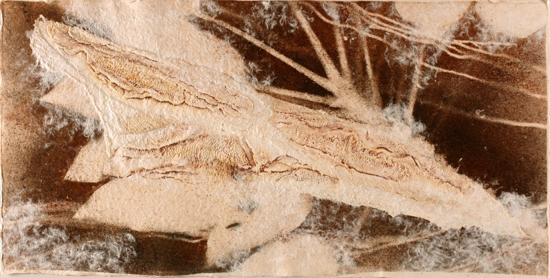 Mata atlantica 1  - 40x100 cm, Dominique Rousseau - Contact