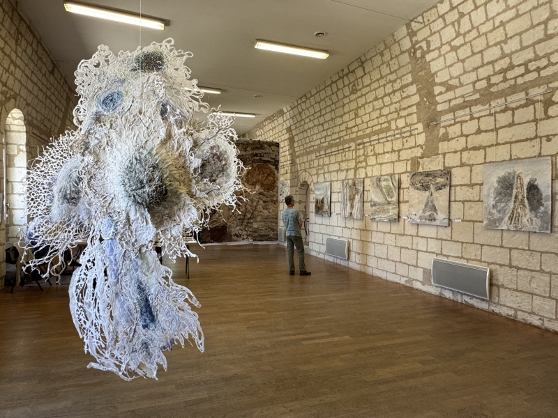 salle des , Dominique Rousseau - Contact