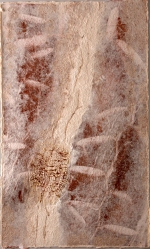 A l'orée des terres - 100x60 cm, Dominique Rousseau - Mata atlantica