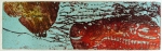 antipodes, Dominique Rousseau - Gravures en couleur