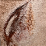cortex - 60x60cm, Dominique Rousseau - Mata atlantica