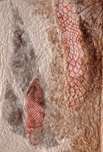 frutos do mata- 60x40 cm, Dominique Rousseau - Mata atlantica
