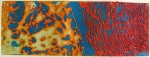 le rêve des polypes 1, Dominique Rousseau - Gravures en couleur