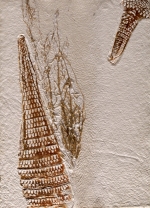 Retour à la surface 1 - 44x32 cm, Dominique Rousseau - Lignes du monde